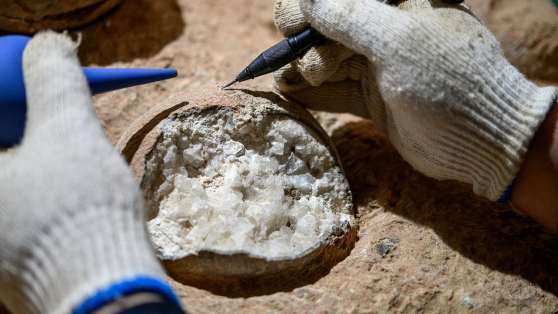 Naučnici datirali jaje dinosaurusa staro 86 miliona godina