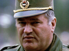 Ratko Mladić je imao lakši moždani udar, u teškom je stanju