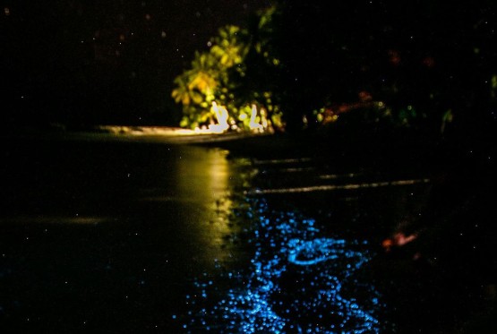 Ostrvo na Maldivima na kojem more sija