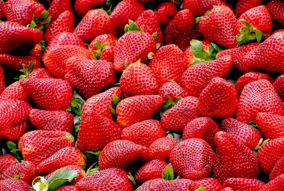 Evo kako da izbjegnete prevaru prilikom kupovine jagoda
