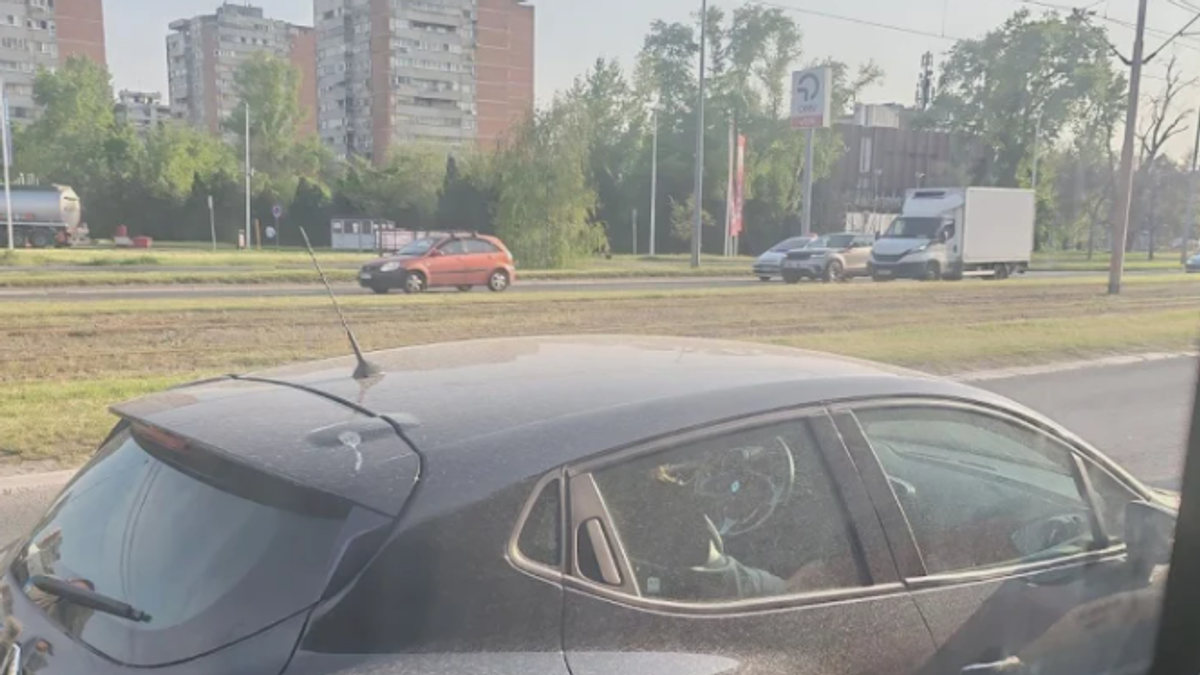 „Krvava kiša“ zasula automobile u Beogradu: Vozači se hvataju za glavu