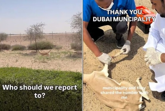 Nesvakidašnji podvig bh. bicikliste u Dubaiju (VIDEO)