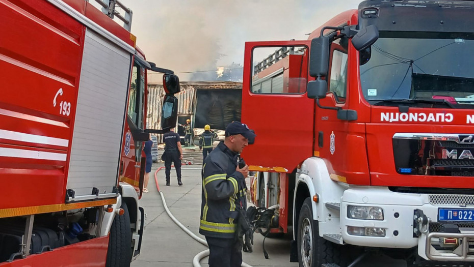Požar na Adi Ciganliji: Intervencija vatrogasaca