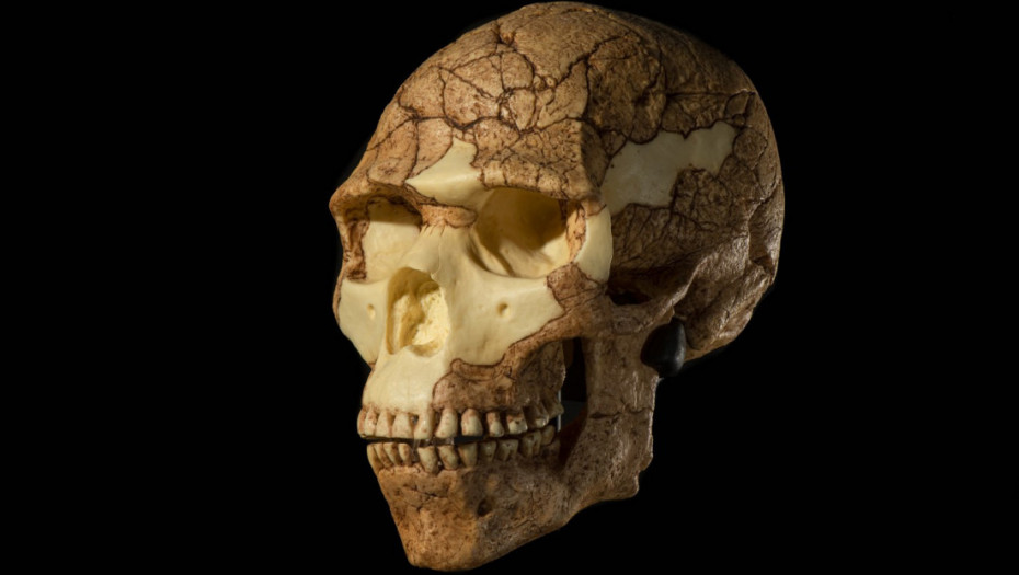 Neandertalci i drevni stomatološki zahvati u Sibiru