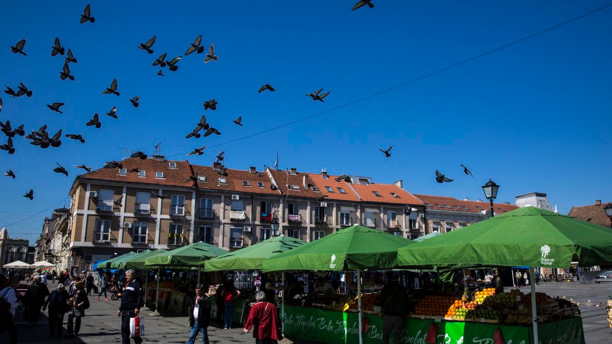Manifestacija „Bum market“ za vikend na pijaci „Zemun“