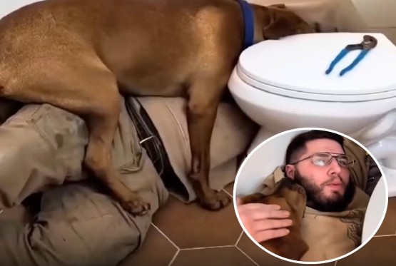 Pos'o je težak, al' je pomoćnik zainteresovan (VIDEO)